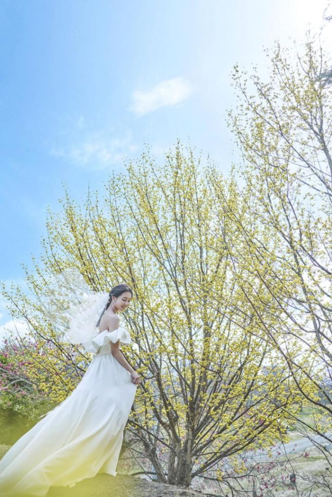 【年末BGフェア】豪華特典×古民家リノベ空間見学×豪華試食◆ベストレート保証◆